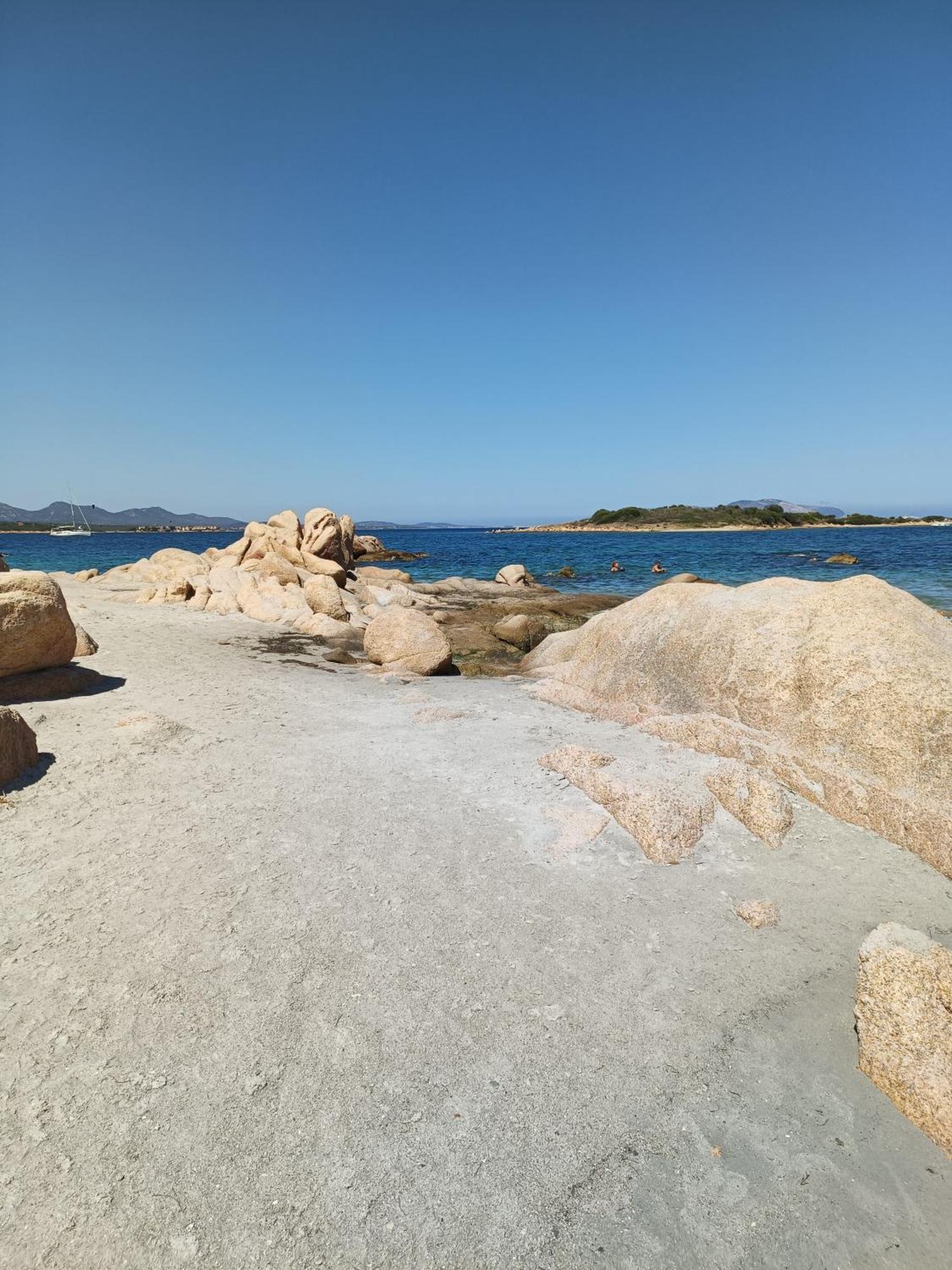 Veronese Olbia