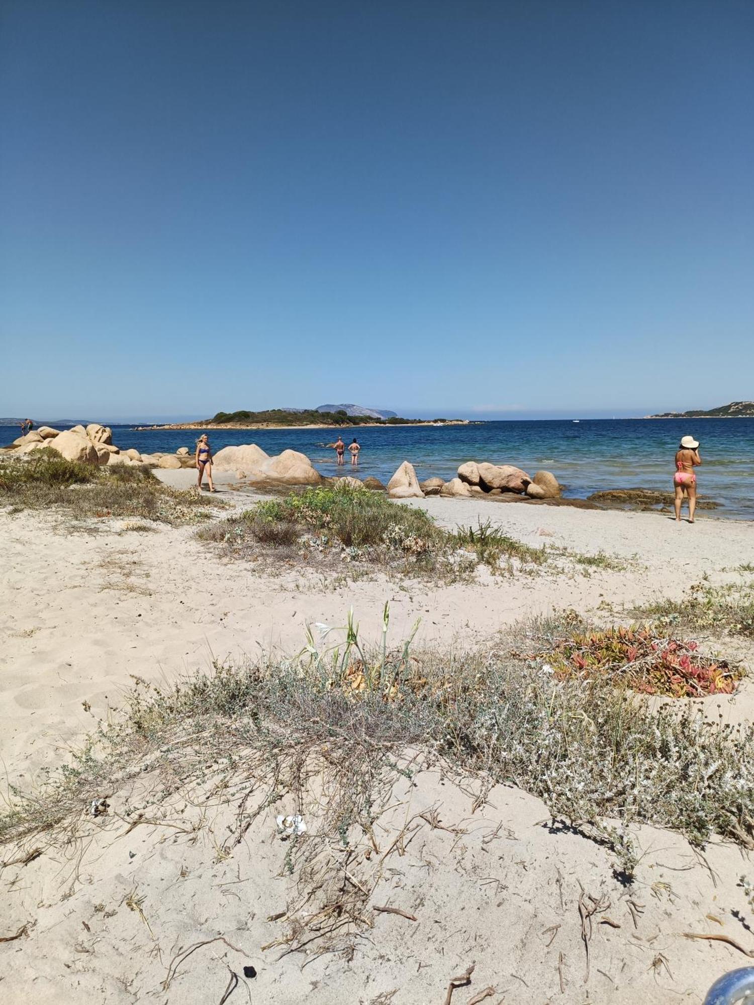 Veronese * Olbia
