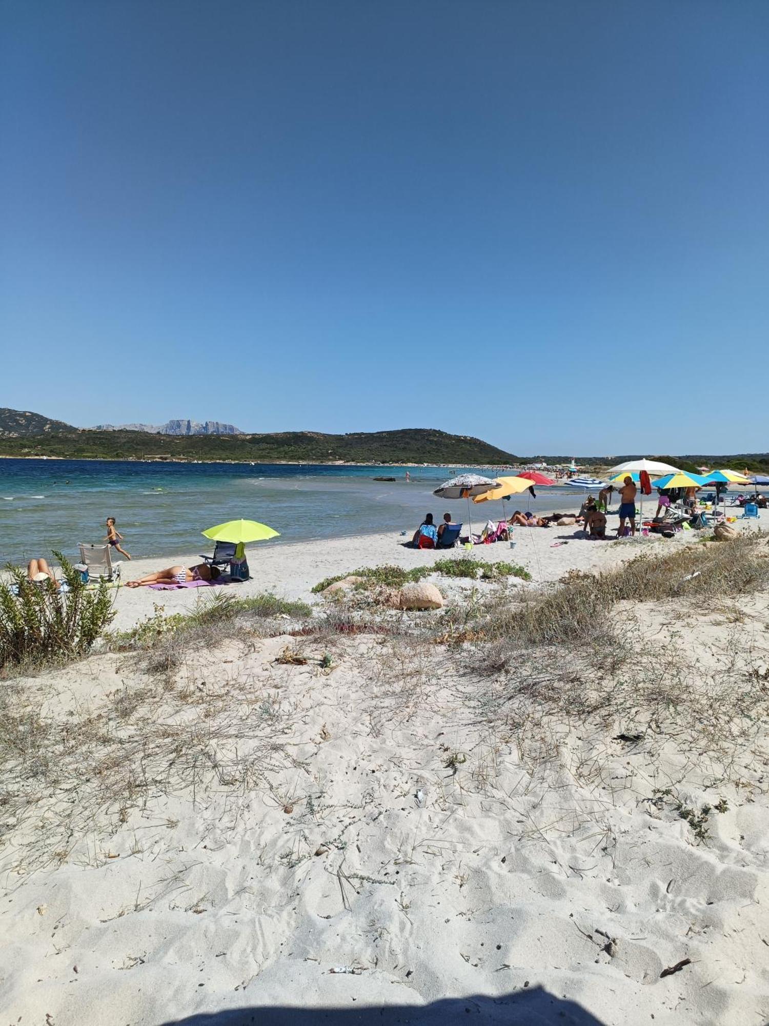 Appartamento Veronese Olbia